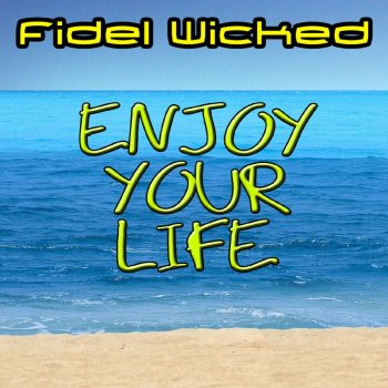  Абложка альбома - Рингтон Fidel Wicked - Enjoy Your Life (dance mix)