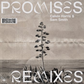  Абложка альбома - Рингтон Calvin Harris, Sam Smith - Promises