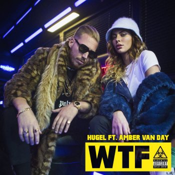  Абложка альбома - Рингтон HUGEL, Amber Van Day - WTF