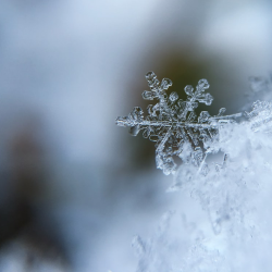  Абложка альбома - Рингтон Richard Clayderman - Winter Sonata