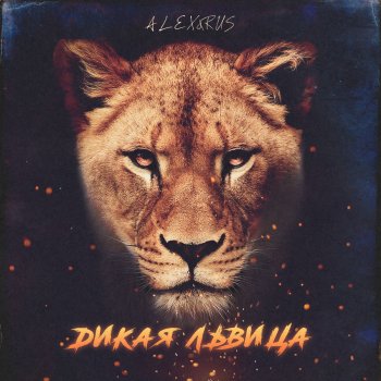  Абложка альбома - Рингтон ALEX&RUS - Дикая львица  