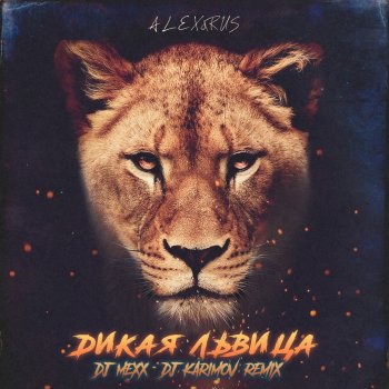  Абложка альбома - Рингтон ALEX&RUS - Дикая львица  