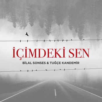  Абложка альбома - Рингтон Bilal Sonses - İçimdeki Sen  